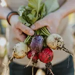 Hei15 Sint Geertruid