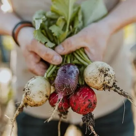 Hei15 Sint Geertruid