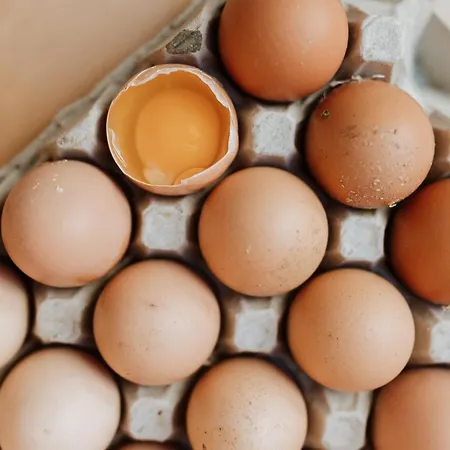 Hei15 Panzió Sint Geertruid