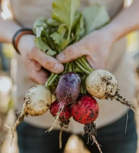 Hei15 Sint Geertruid