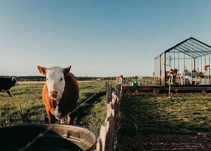 嘿15号住宿加早餐旅馆